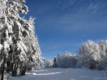 Cesta na Radhošť